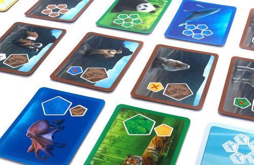 Gra Planeta na Arena.pl