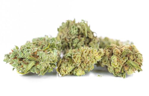 Susz konopny CBD | CBG | Silver 1 g na Arena.pl
