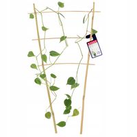 Drabinka Bambusowa Podpora Pnączy Podwójna 45cm