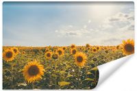 Fototapeta Do Salonu POLE Słoneczników Natura Słońce Pejzaż 400cm x 280cm