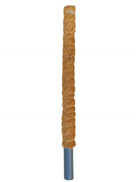 Palik kokosowy 60cm x 32mm zdjęcie 1