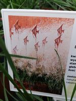 product-compare-55770665