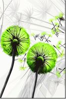 80CM 120 OBRAZ DMUCHAWCE KOLORZE LIMONKI ŚCIENNY