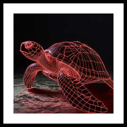 Plakat 30x30cm Neonowy Żółw na Arena.pl