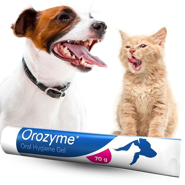 OROZYME STRIPS S GRYZAKI DENTYSTYCZNE zdjęcie 2