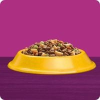 SUCHA KARMA WHISKAS ADULT DLA KOTA Z PYSZNYM KURCZAKIEM 14KG