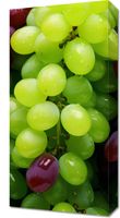Obraz 30x60cm Winogronowy Kalejdoskop