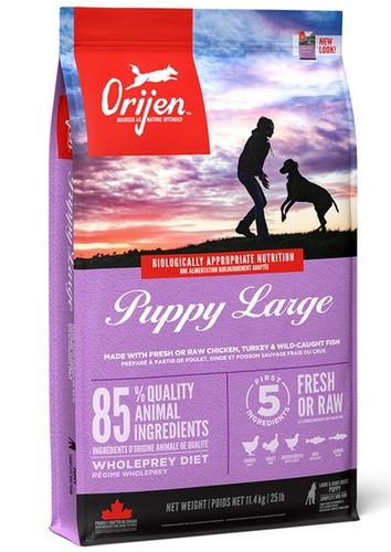 Orijen Puppy Large Breed 11,4kg na Arena.pl