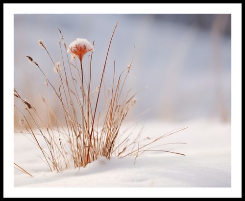 Plakat 76x60,5cm Zima w Detalach na Arena.pl