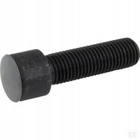 Śruba Imbus. Z Łbem Walc. 16x55 12.9 KE10860