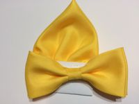 Żółta mucha gładka jednolita z poszetką