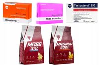 Zestaw odżywek legalne sterydy z GAINEREM i BIAŁKIEM META TESTO BIOSTEROL