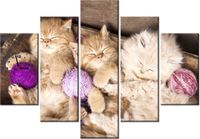 105CM 150CM ZEGAR 5 ELEM ŚPIĄCE KOTY MISCE DRUK OBRAZ