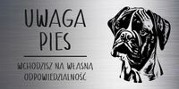Tabliczka laminat 20x10 cm UWAGA PIES Bokser Z GRAWEREM