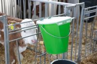 Pokrywka do wiadra do pojenia cieląt MilkGuard, transparentny, Kerbl