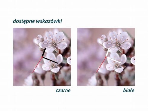 ZEGAR SZKLANY PROSTOKĄTNY - Orchidea na Arena.pl