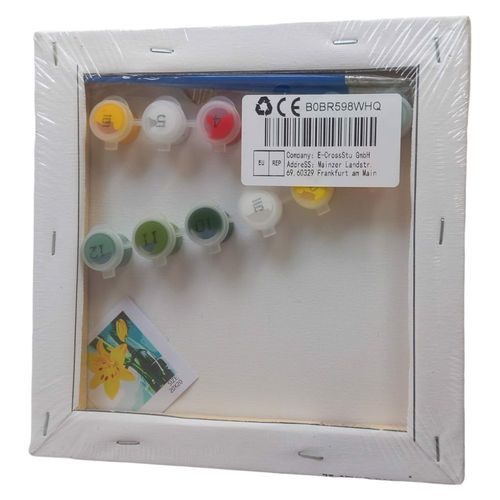 Malowanie po numerach z farbami kwiaty 20x20 2szt na Arena.pl