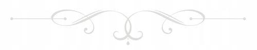 fauna polski - adamigo memory 7738 na Arena.pl