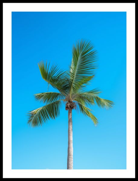 Plakat 40x55cm Wyżyny Nieba zdjęcie 3