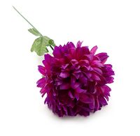 CHRYZANTEMA duża pojedyncza długa gałązka 70cm FIOLETOWA