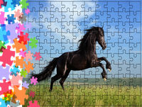Puzzle tradycyjne Zwierzęta - Koń