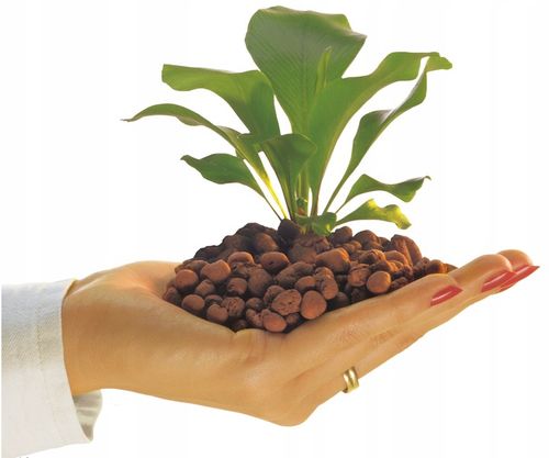 komplet do hydroponiki doniczka biała CORONA 15/19 na Arena.pl