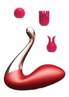 stymulator - swan massager, interchangeable heads - usb 9 functions