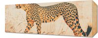 Obraz 50x20cm Gepard w Ruchu