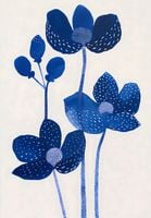 Plakat 68x98cm Nocne Kwiaty