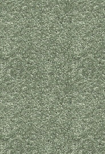 Dywan Shaggy AW Florida 22 - 400x450cm zdjęcie 1