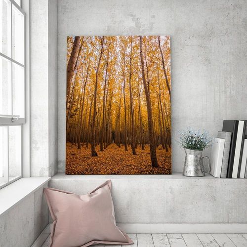 Deco Panel, Jesienny las 40x60 na Arena.pl