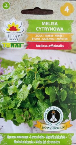 Melisa cytrynowa nasiona 0,5 g. zioła na Arena.pl