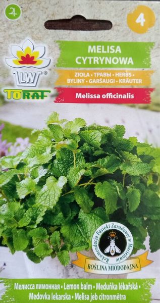 Melisa cytrynowa nasiona 0,5 g. zioła zdjęcie 5