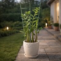 podpora do roślin doniczkowych 60cm
