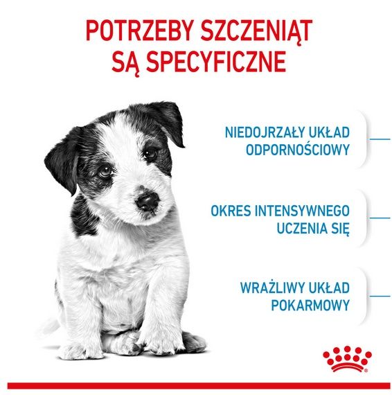 Karma sucha opracowana specjalnie dla szczeniąt małych ras Royal Canin 4kg zdjęcie 2
