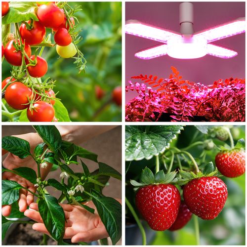 Żarówka Lampa Do Uprawy Wzrostu Roślin 40W E27 Oświetlenie LED Mocna na Arena.pl