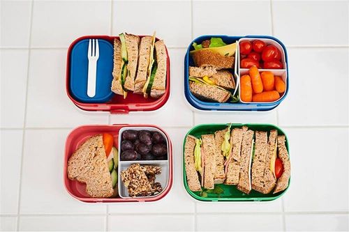 Lunchbox Campus Jungle 107440065393 na Arena.pl