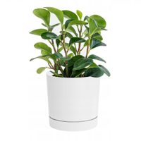 Doniczka Osłonka Z Podstawką Odpływem Tubo P Biały