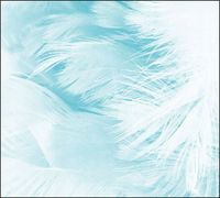 Tło do fotografii produktowej kulinarnej Flat Lay