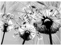 60CM 50CM OBRAZ ŚCIENNY BIAŁE DMUCHAWCE SZARYM TLE DRUK PŁÓTNO