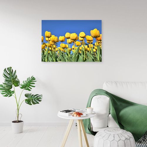 Obraz na płótnie – Canvas, Tulipany 90x60 na Arena.pl