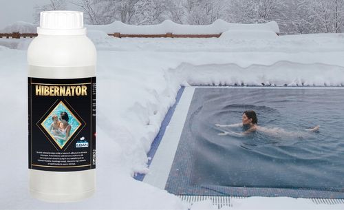 HIBERNATOR 1L PŁYN ZIMUJĄCY DO BASENU CHEMIA BASENOWA NA ZIMĘ na Arena.pl