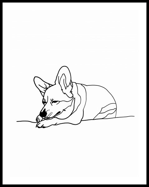 Plakat 50x65cm Śpiący Corgacz zdjęcie 3