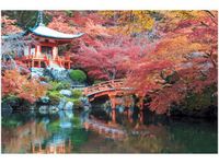 product-compare-58694599