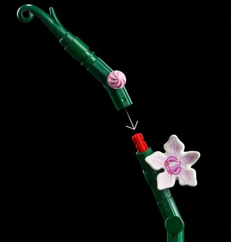 10311 - lego icons - orchidea na Arena.pl