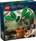 Klocki Harry Potter 76433 Mandragora