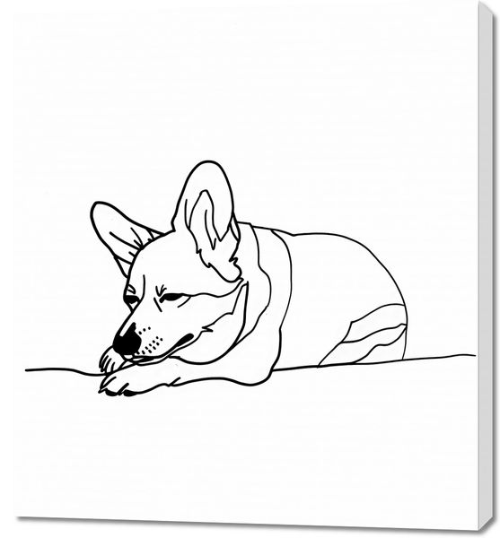 Obraz 90x100cm Śpiący Corgacz zdjęcie 1