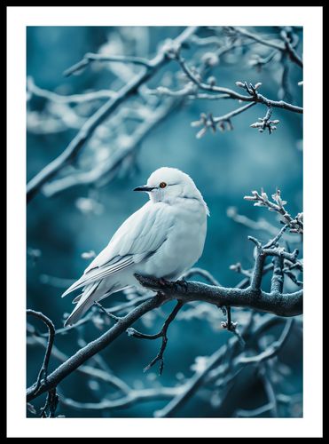 Plakat 42x59,4cm Perłowy Ptak na Arena.pl