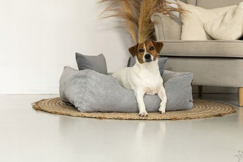 Legowisko kanapa Premium dla psa sofa kojec 100x70 cm Produkt Polski na Arena.pl