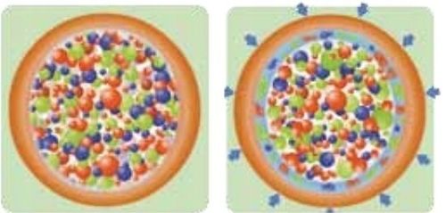 Barfertile Universal Nawóz letni 5kg Barenbrug na Arena.pl